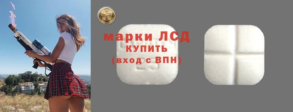 сатива Беломорск