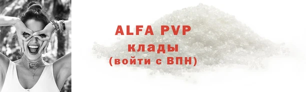сатива Беломорск