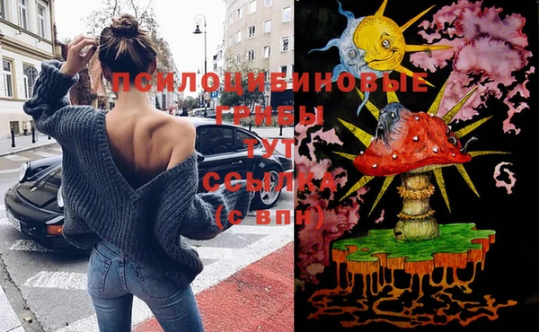 сатива Беломорск