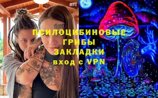 сатива Беломорск