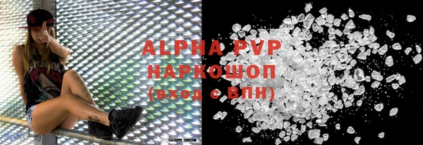 сатива Беломорск