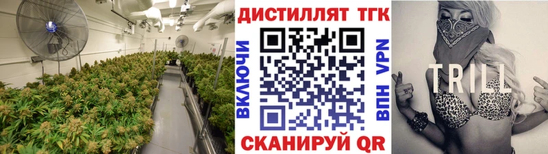 kraken ТОР  Краснокаменск  ТГК Wax 